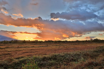 sunset over the field