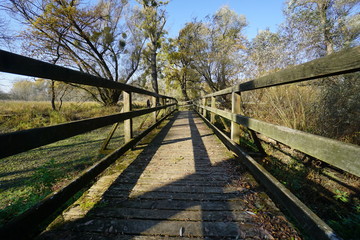 Fototapeta premium Bridge