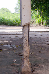 Old damaged pole. It may be dangerous