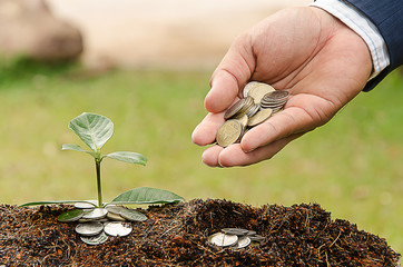 hand of a businessman giving coins to trees growing on coins - B