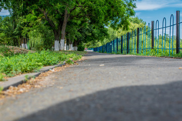 Gray paved path with a metal fence on the edge. On the other hand green trees with whitewashed trunks, in the Park, in the spring, in the fresh air. Long track with a curb.