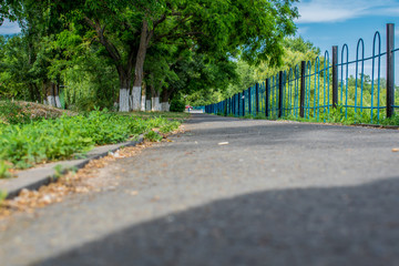 Fototapeta premium Gray paved path with a metal fence on the edge. On the other hand green trees with whitewashed trunks, in the Park, in the spring, in the fresh air. Long track with a curb.