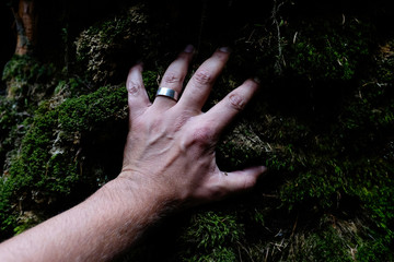 in touch with nature - male hand touching moss carpet wall