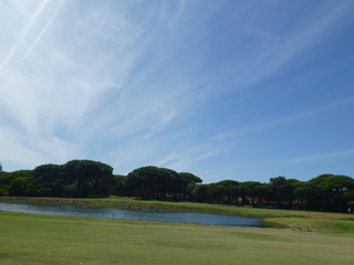 summer landscape with lake and blue sky in Portugal