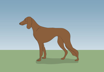 dog running, color, vector