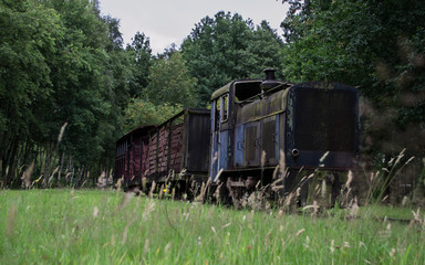 alter Zug im Wald