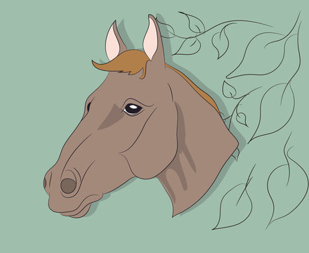 portrait of a horse on a colored background,