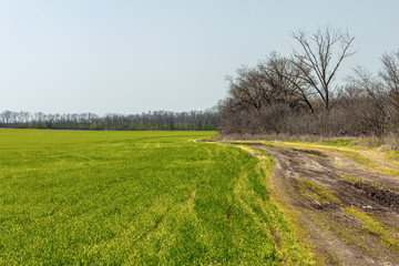 The ground road on the side of farm field in the early springtime