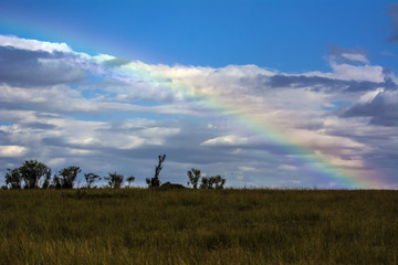 Naklejka na ściany i meble Masai Mara Landscape