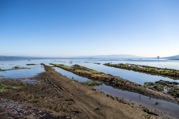 Lake Nakuru Landscapes