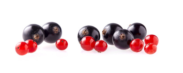 Red and  black currant Isolated on White Background