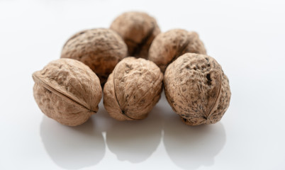 Nuss isoliert auf weiß, Walnuss
