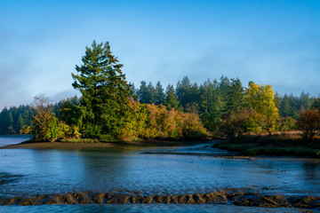 Puget Sound Fog and Low Tide