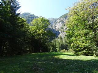 Achensee in Tirol, Bezirk Schwaz, Wanderweg zwischen Pertisau und Achenkirch über die Gaisalm