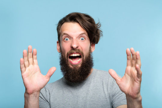 surprised startled terrified scared man. screaming of fright with eyes wide open. portrait of a young bearded guy on blue background. emotion facial expression. people reaction concept.