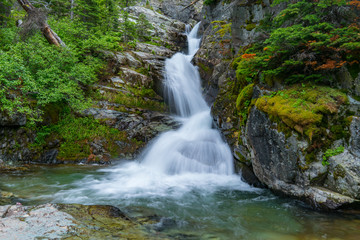 Fototapeta na wymiar Aster Falls, Glacier National Park