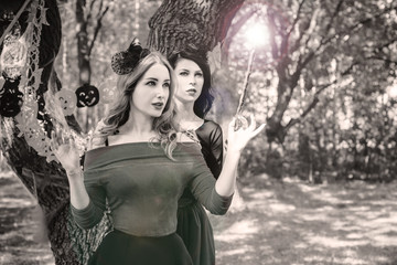Fototapeta premium Halloween concept, glamorous costume detail.Two elegant and charming mysterious witches, magical female beauty. Portrait of gorgeous fairy wizards enchantress, on a carnaval 