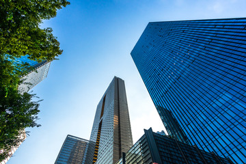 Obraz premium skyscrapers in the city