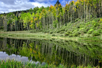 Reflection Near Taos