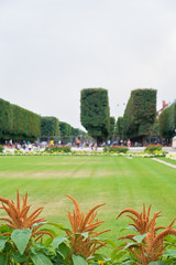 Flowers and lawn at Luxembourg Gardens in Paris