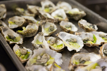 A plate of Oysters in a restaurant kitchen.