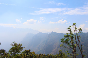 Fototapeta premium Morning fog in dense tropical forest, thailand