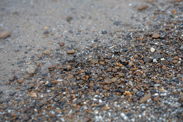 Beach Shoreline Rocks Upclose