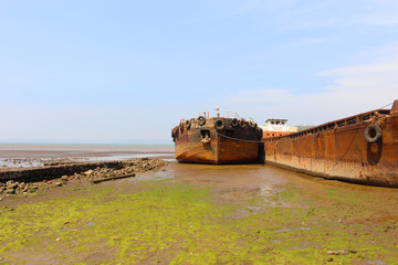 Fototapeta na wymiar An old Shipwreck at the beach
