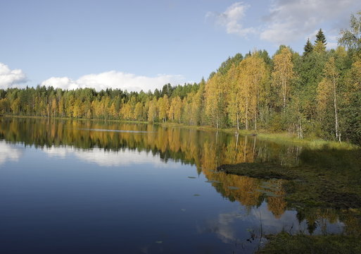  озеро в осеннем лесу солнечным днём © Natali Arkhangelsk