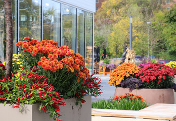 Autumn season outdoor decoration background. Outlet shopping mall decorated with bright...
