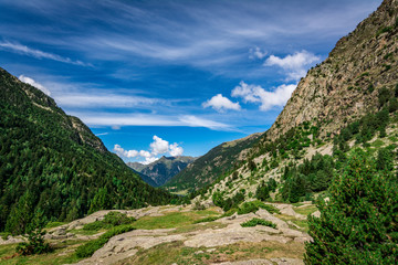 Fototapeta na wymiar View of the meadows and peaks of the Aiguestortes National Park, Lleida, Pyrenees, Catalonia