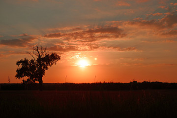 Summer 2018. 0033 August