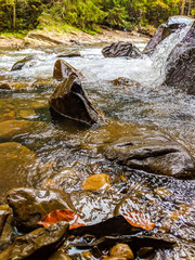 Fototapeta premium The small waterfall in the Ukrainian Carpathian Mountains