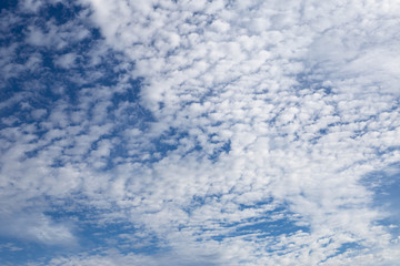 Obraz premium White clouds