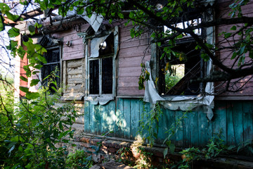 Fototapeta na wymiar An abandoned wooden house with a wild garden