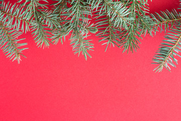 Branch spruce on a red background. Decorative Christmas frame on a red background.