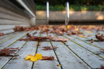Closed swimming pool in autumn symbolizing summer season is over