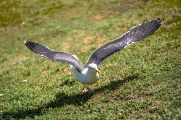 Edinburgh - the most beautiful places