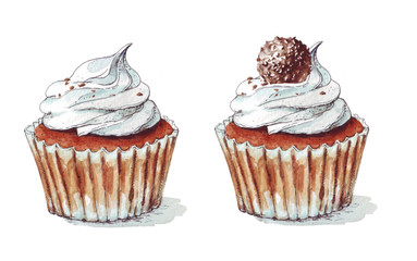 Cupcakes with white background