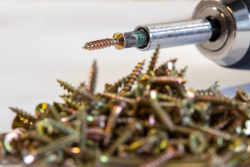 Many brass colored wooden screws against white background and cordless screwdriver with phillips bit in focus in the background