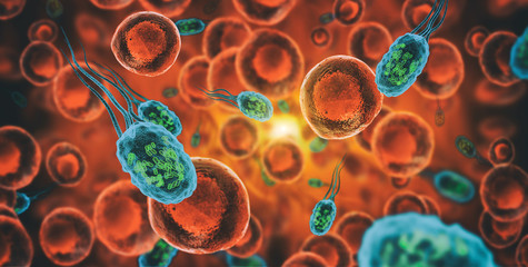 Bacteria - Bacterium Helicobacter pylori - obrazy, fototapety, plakaty