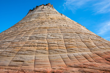 Checkerboard Mesa, Zion National Park, Utah
