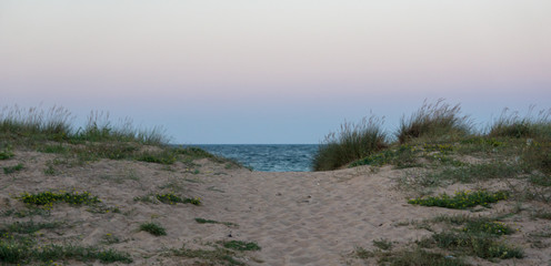 Path to the beach