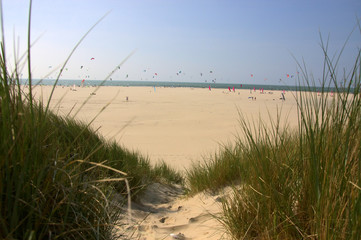 Niederländische Nordsee