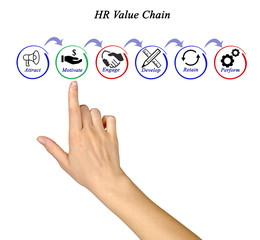 HR Value Chain