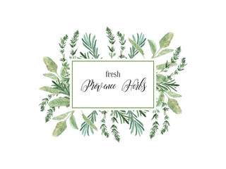 Watercolor illustration. Label with fresh culinary and medicinal herbs and branches. Floral design elements perfect for wedding invitations, greeting cards, blogs, prints, postcards, social media