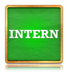 Obraz premium Intern green chalkboard square button