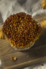 Organic Raw Golden Enoki Mushrooms