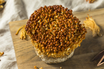 Organic Raw Golden Enoki Mushrooms