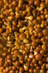 Organic Raw Golden Enoki Mushrooms